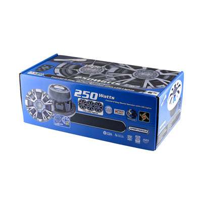 Audiopipe APMP-T625LD 6.5 Inch 250 Watt 4 Ohm 2 Way Marine Audio Speaker, Silver