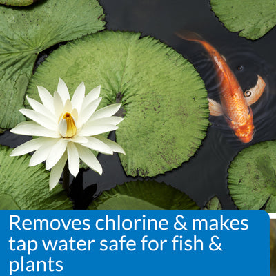 API Pond Chlorine and Heavy Metal Freshwater Tap Water Neutralizer, 1 Gallon