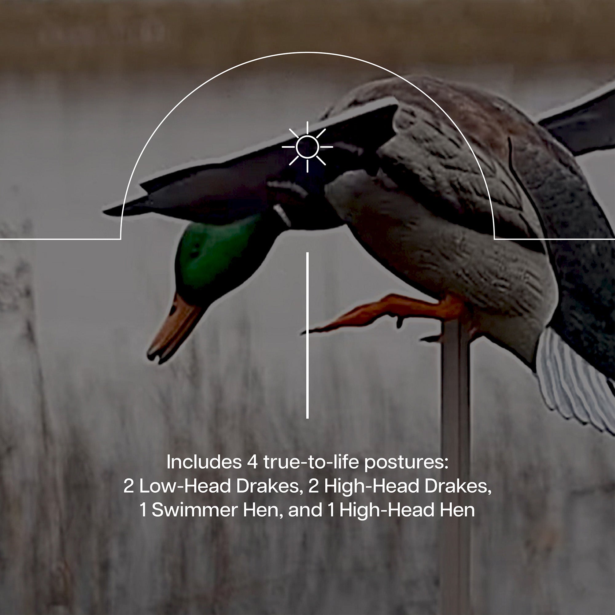 Avian X PowerFlight Smart Motion Mallard Spinning Weatherproof Realistic Decoy - VMInnovations