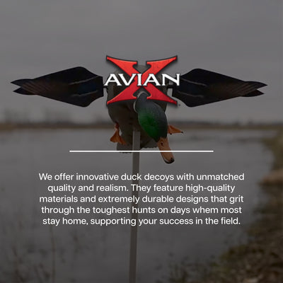 Avian X PowerFlight Smart Motion Mallard Spinning Weatherproof Realistic Decoy