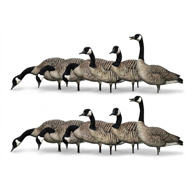 Avian X AXP Honkers Full Body Realistic Paint Canada Goose Decoys, Set of 12 - VMInnovations