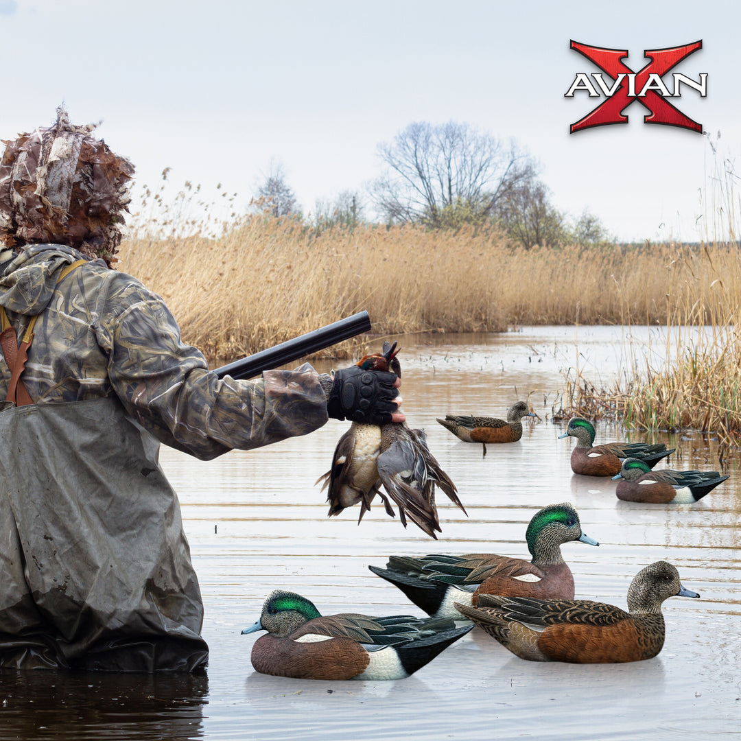 Avian X Topflight Wigeons, Rugged Realistic Floating Decoys, 6 Pack (Open Box)