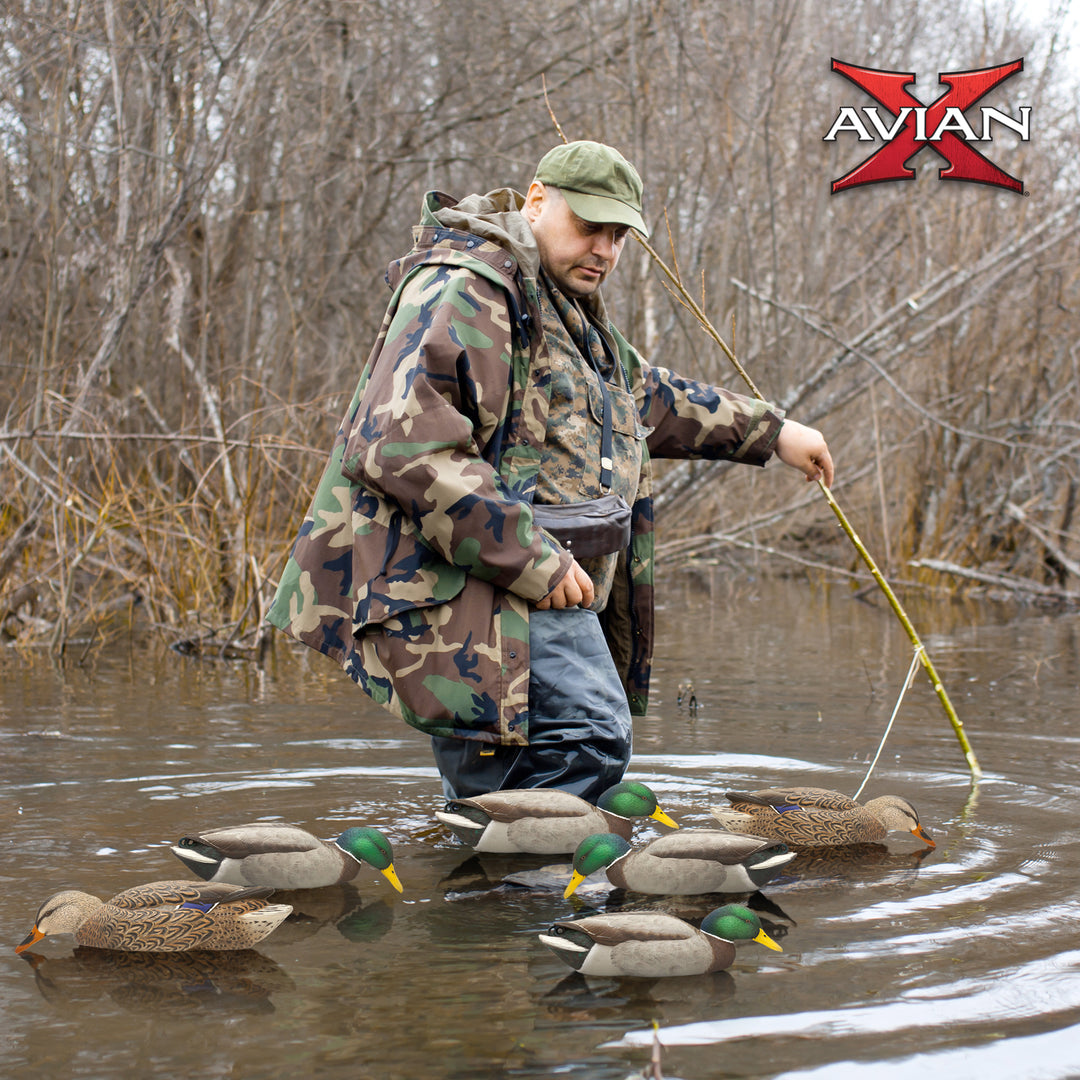Avian X Topflight Backwater Mallards Decoys, Realistic Floating, 6pk (Open Box)