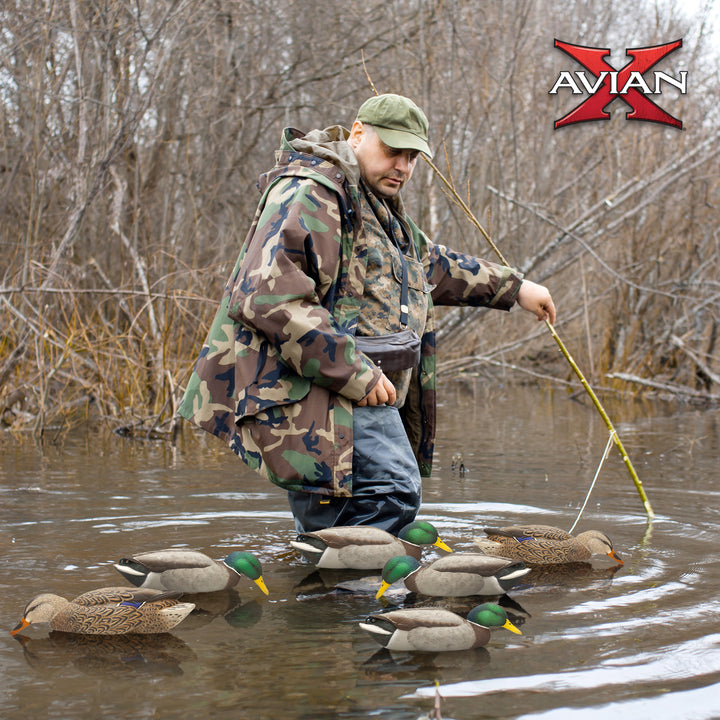 Avian X Topflight Backwater Mallards Decoys, Realistic Floating, 6pk (Open Box)