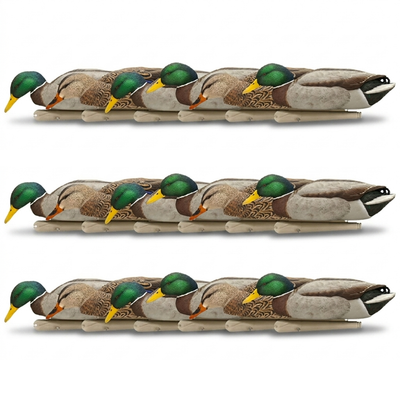 Avian X Topflight Backwater Mallards Decoys, Ultra Realistic Floating, 18 Pack