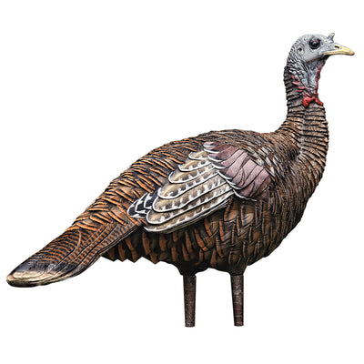 Avian X LCD Lookout Hen Collapsible Hunting Decoy w/ Stake, Carry Bag, & Strap