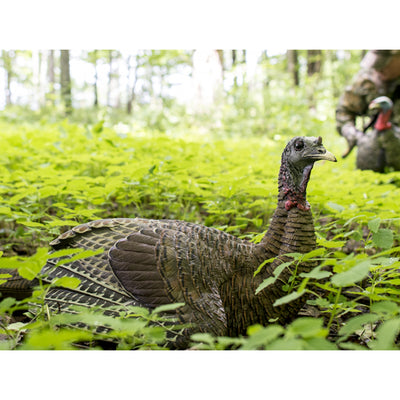 Avian-X Lifelike Collapsible Laydown Breeding Hen Turkey Hunting Decoy(Open Box)