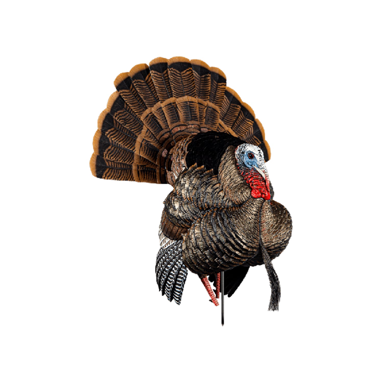 Avian-X AVX8108 HDR Strutter Adjustable Tail Fan Realistic Turkey Hunting Decoy - VMInnovations