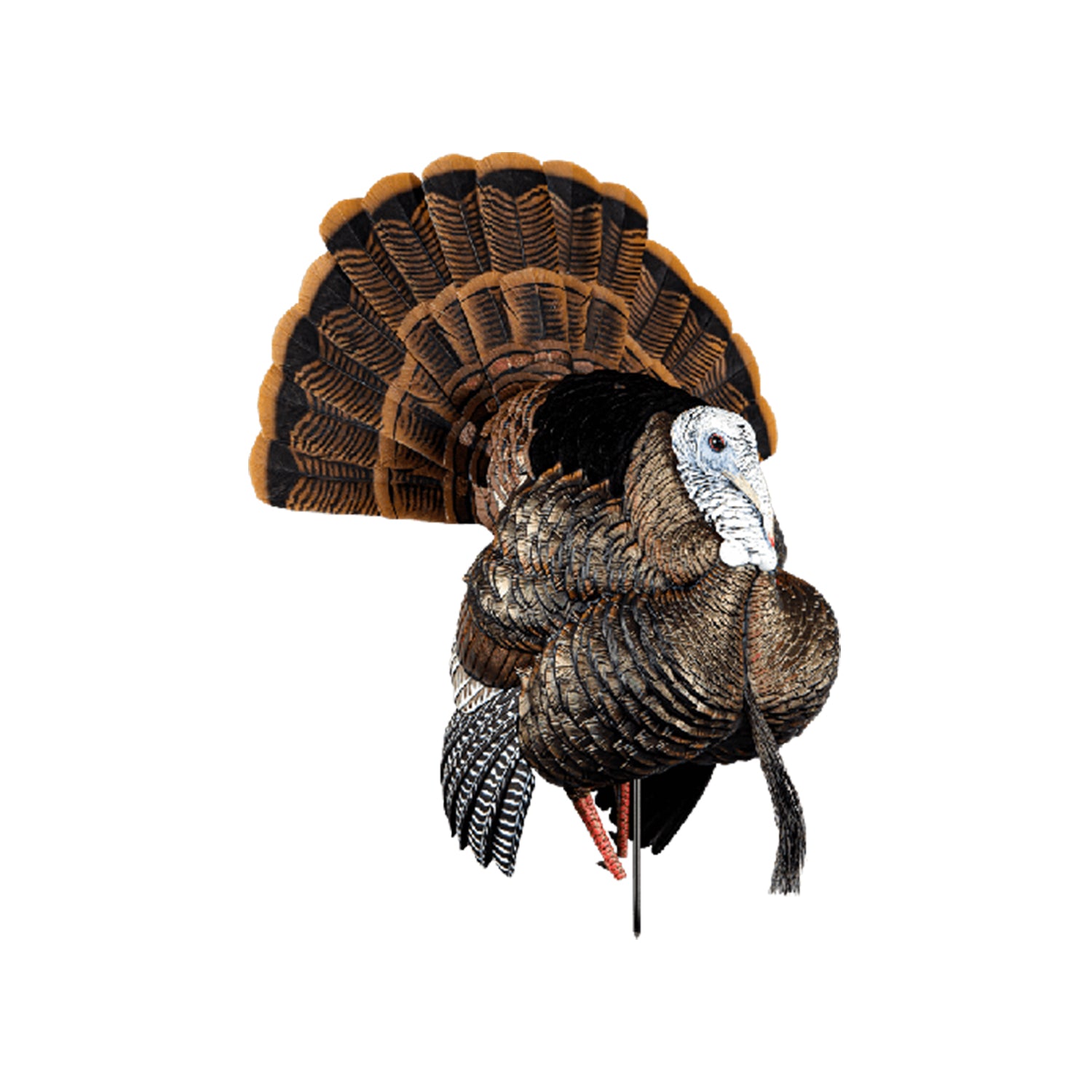 Avian-X AVX8108 HDR Strutter Adjustable Tail Fan Realistic Turkey Hunting Decoy - VMInnovations