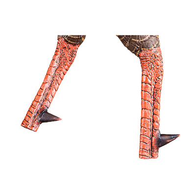 Avian-X AVX8108 HDR Strutter Adjustable Tail Fan Realistic Turkey Hunting Decoy - VMInnovations