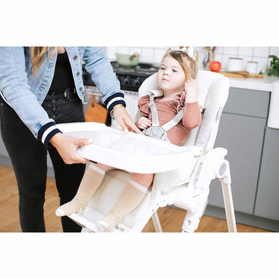 Inglesina Gusto Adjustable Baby Toddler High Chair with Removable Tray, Graphite - VMInnovations