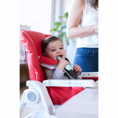Inglesina Gusto Adjustable Baby Toddler High Chair with Removable Tray, Cream - VMInnovations