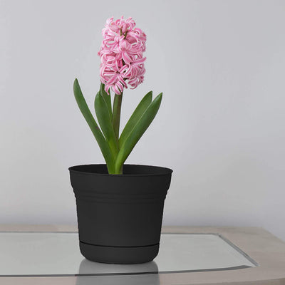 Bloem SP1000 Saturn 10 Inch Planter Pot w/ Attached Saucer, Black (Used)
