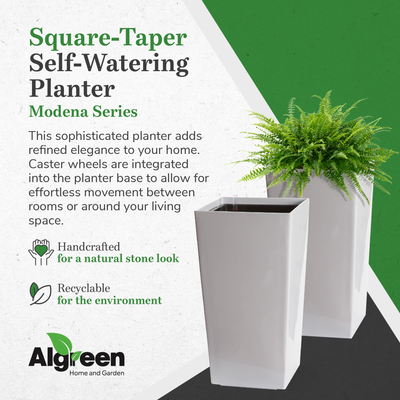 Algreen Modena Square Self-Watering Planter With Water Level Guide (Used) - VMInnovations