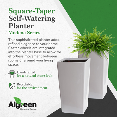 Algreen Modena Square Self-Watering Planter With Water Level Guide (Used)