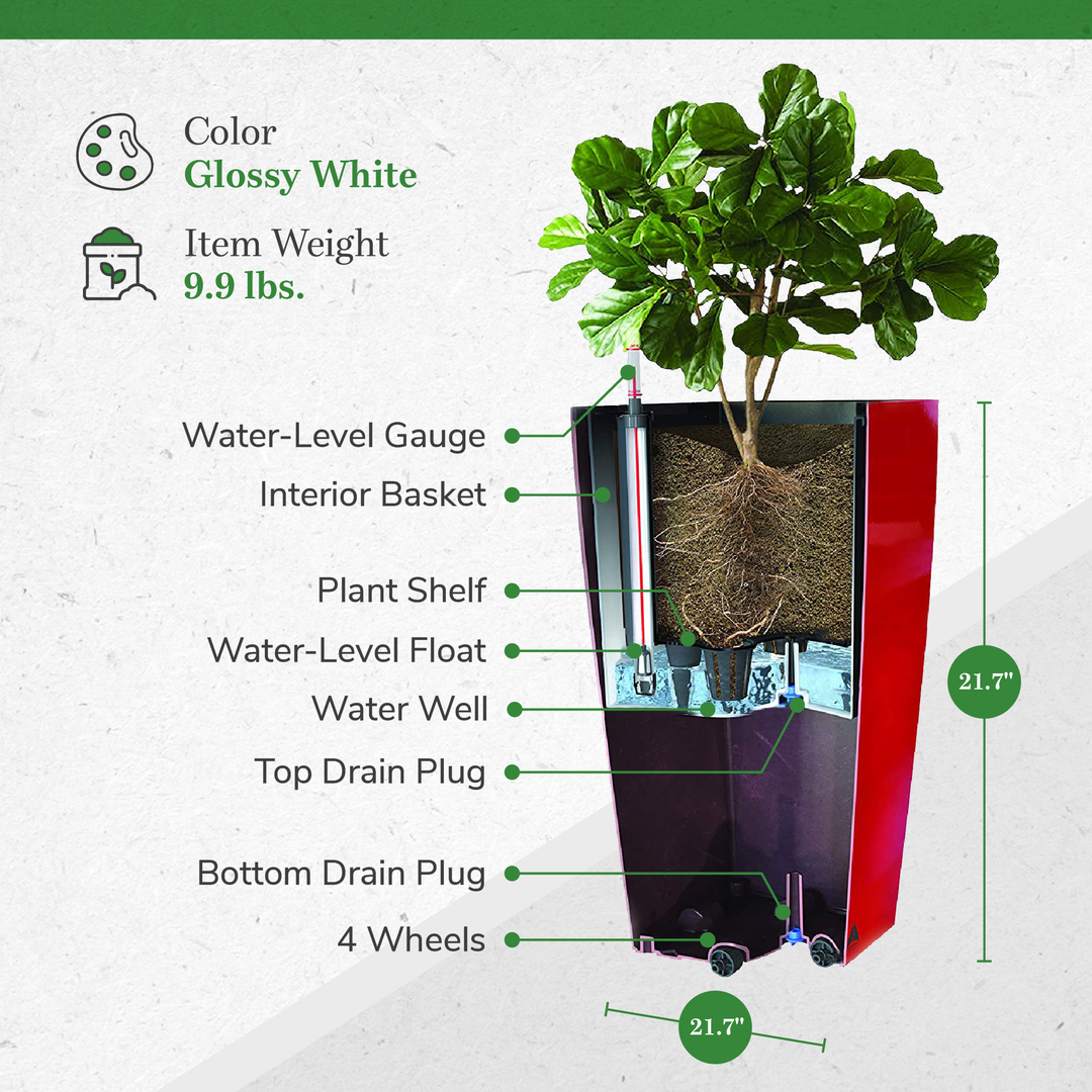 Algreen Modena Square Self-Watering Planter With Water Level Guide (Used) - VMInnovations