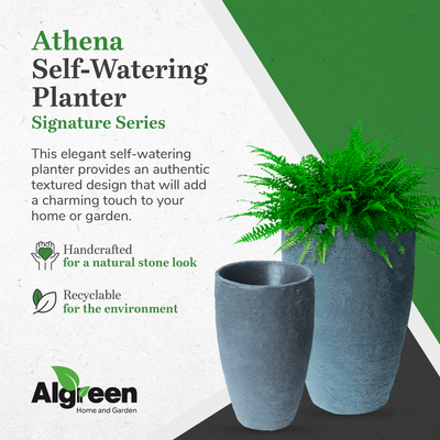 Algreen Athena 20.5" x 12.6" Self Watering Plastic Planter, Charcoalstone (Used)