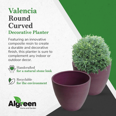 Algreen Round Curve Valencia Indoor and Outdoor Planter and Flower Pot(Open Box)
