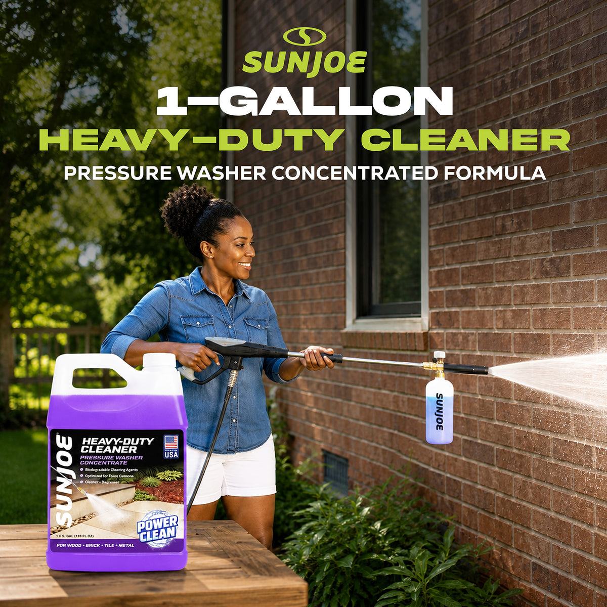 Sun Joe All-Purpose Pressure Washer Cleaner and Degreaser, 1 Gallon, SPX-APC1G