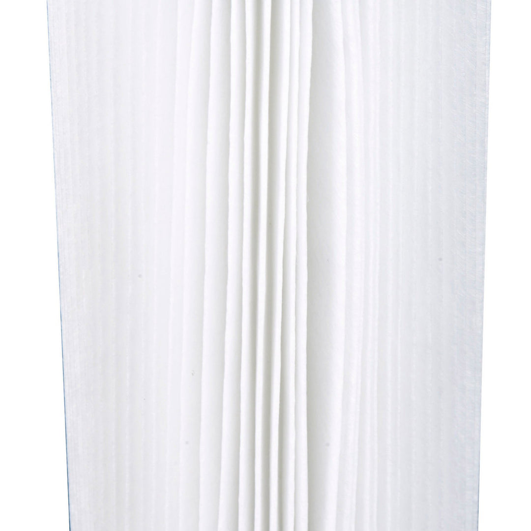 Coleman Type III A/C 1000 & 1500 GPH Replacement Filter Pool Cartridges (4 Pack)