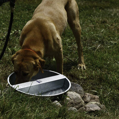 Little Giant 13-Quart Galvanized Steel Ever Full Pet Water Bowl Dish (Used) - VMInnovations