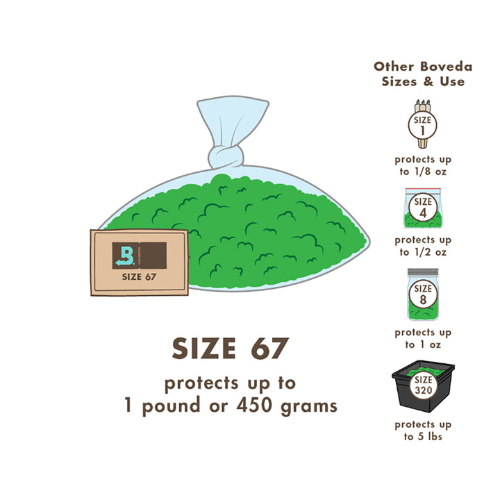 Boveda BV62187 67 Gram Humidity Control Pack 62% RH 2-Way Herbal Preservative - VMInnovations