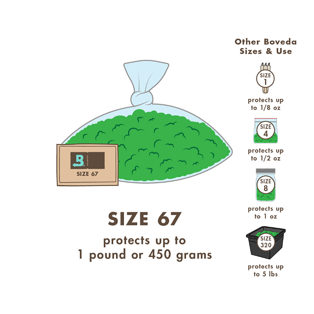 Boveda BV62187 67 Gram Humidity Control Pack 62% RH 2-Way Herbal Preservative - VMInnovations