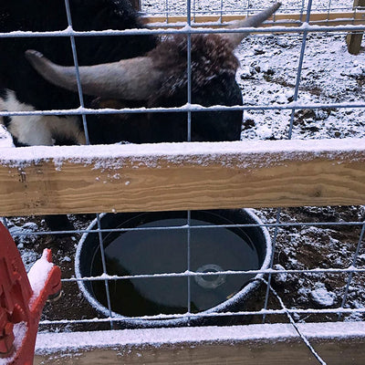 Farm Innovators Submergible Cast Aluminum Utility De-Icer for Farm Use (Used) - VMInnovations