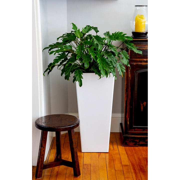 The HC Companies Cascade 15 Inch Wide Self Watering Square Planter, Glossy White - VMInnovations