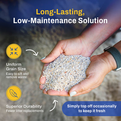 Premium Chicken Sand, Odor Eliminating Bedding for Coops, 50 Lb Bag, 56 Pack