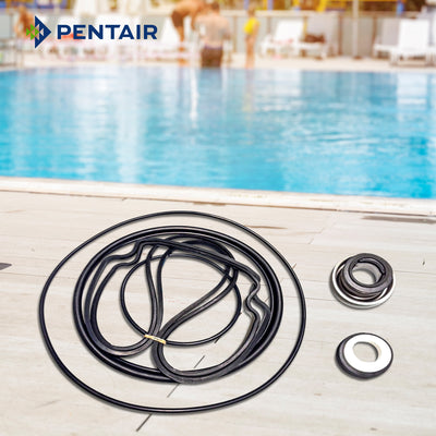 Pentair Swimming Pool Pump Seal Kit For WhisperFlo & IntelliFlo Pumps(Open Box) - VMInnovations