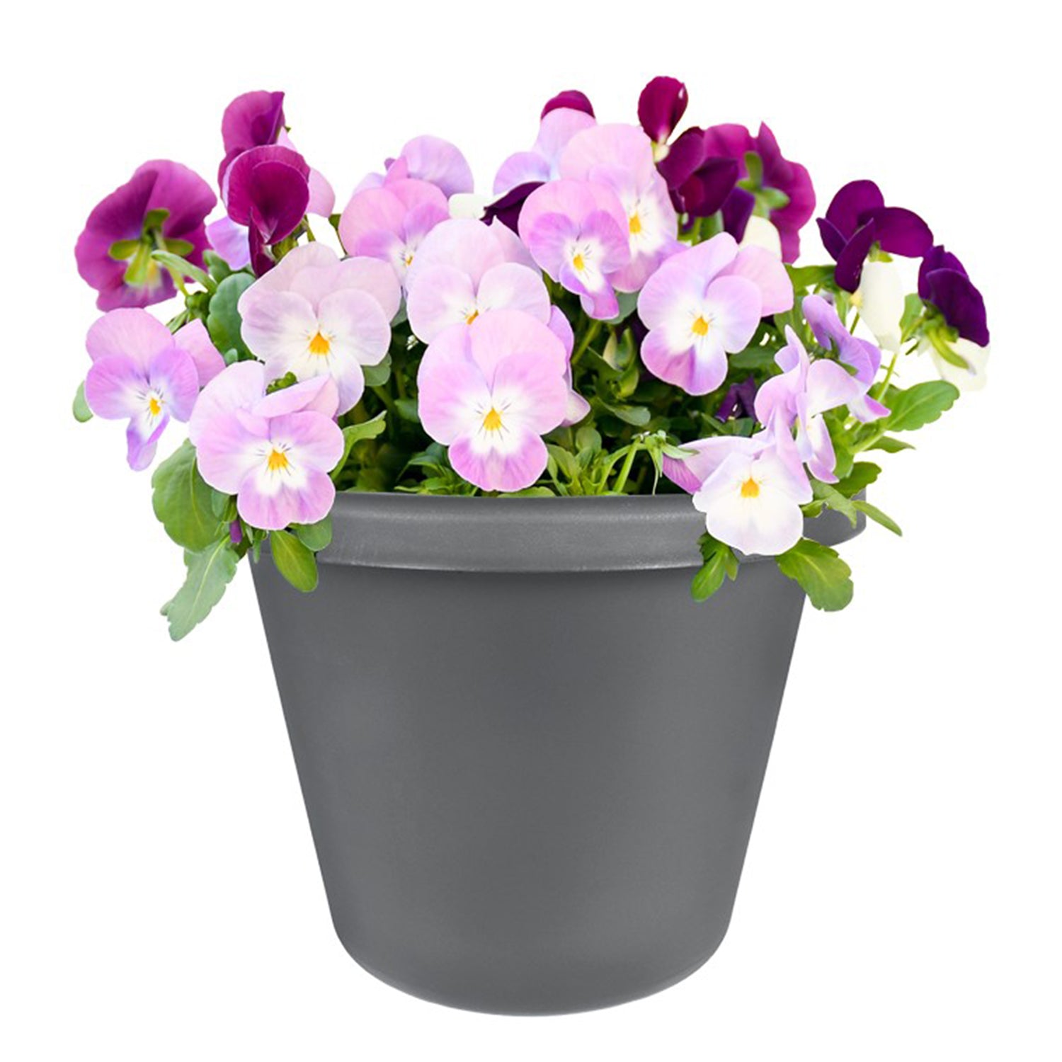 The HC Companies 24" Plastic Indoor Outdoor Classic Flower Pot Planter, Blue - VMInnovations