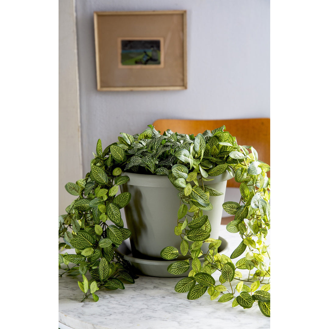 HC Companies LIA24000E35 24-Inch Plastic Round Classic Pot, Clay (Open Box) - VMInnovations