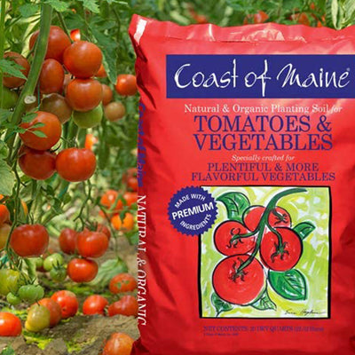 Coast of Maine OMRI Listed Tomato and Vegetable Planting Soil, 20 Qt Bag (8 Pk) - VMInnovations