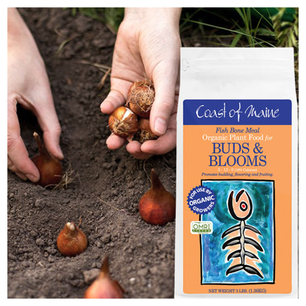Coast of Maine Fish Bone Meal Pack Organic Potting Soil, 3 Pound Bag (2 Pack)
