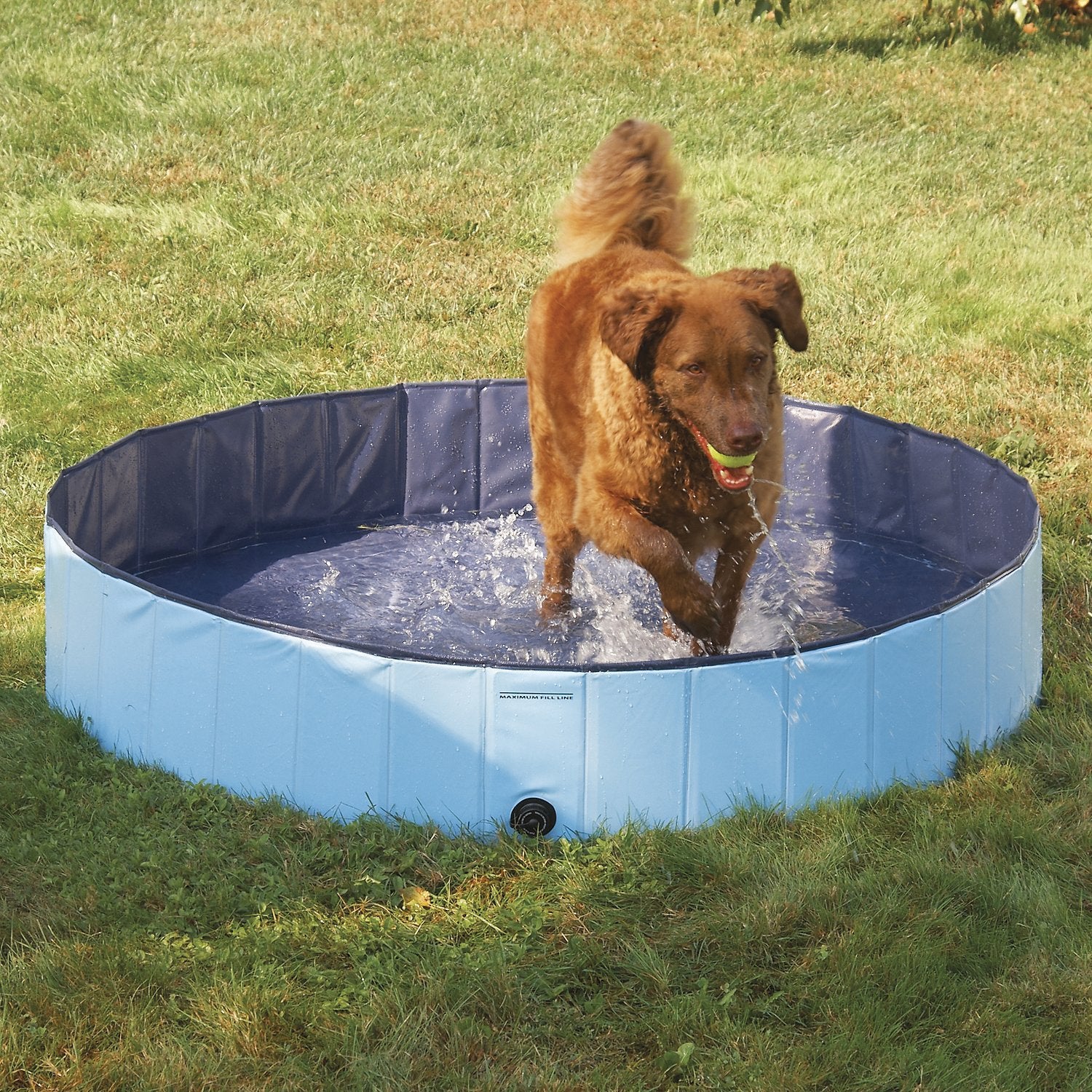 Cool Pup Splash About 63 Inch Diameter Collapsible Dog Pet Pool, Blue (Used) - VMInnovations