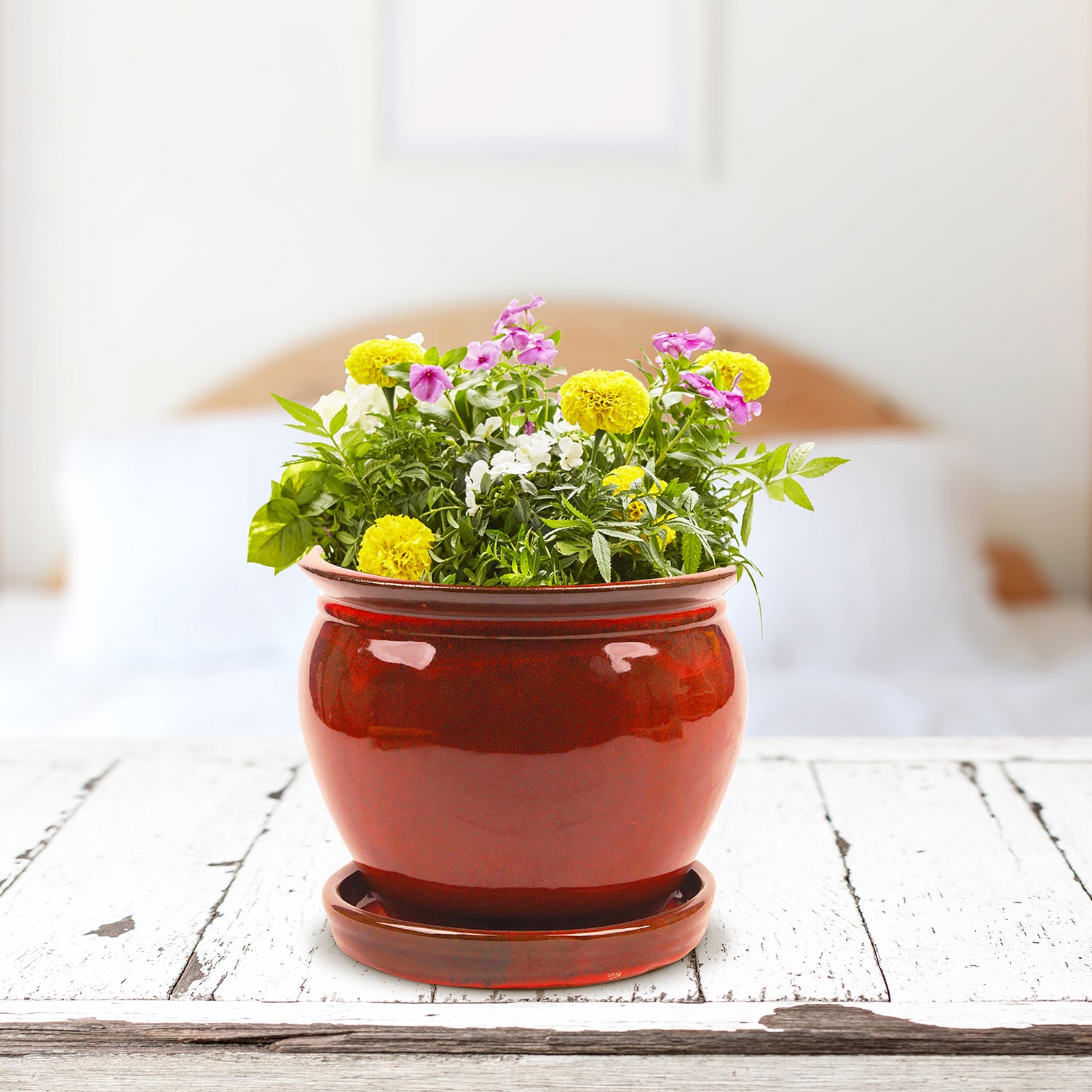 Southern Patio Wisteria 8" Diameter Ceramic Planter Pot with Saucer, Red (Used) - VMInnovations