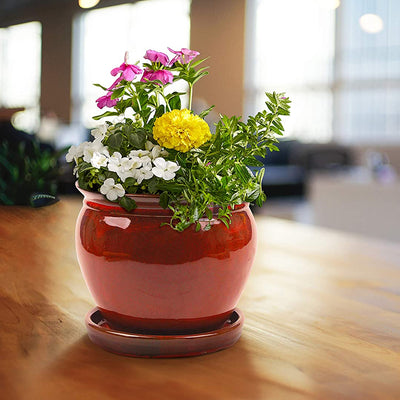 Southern Patio Wisteria 12 Inch Diameter Ceramic Planter Pot with Saucer, Red - VMInnovations