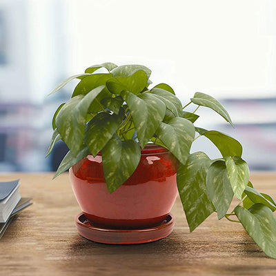 Southern Patio Wisteria 12 Inch Diameter Ceramic Planter Pot with Saucer, Red - VMInnovations