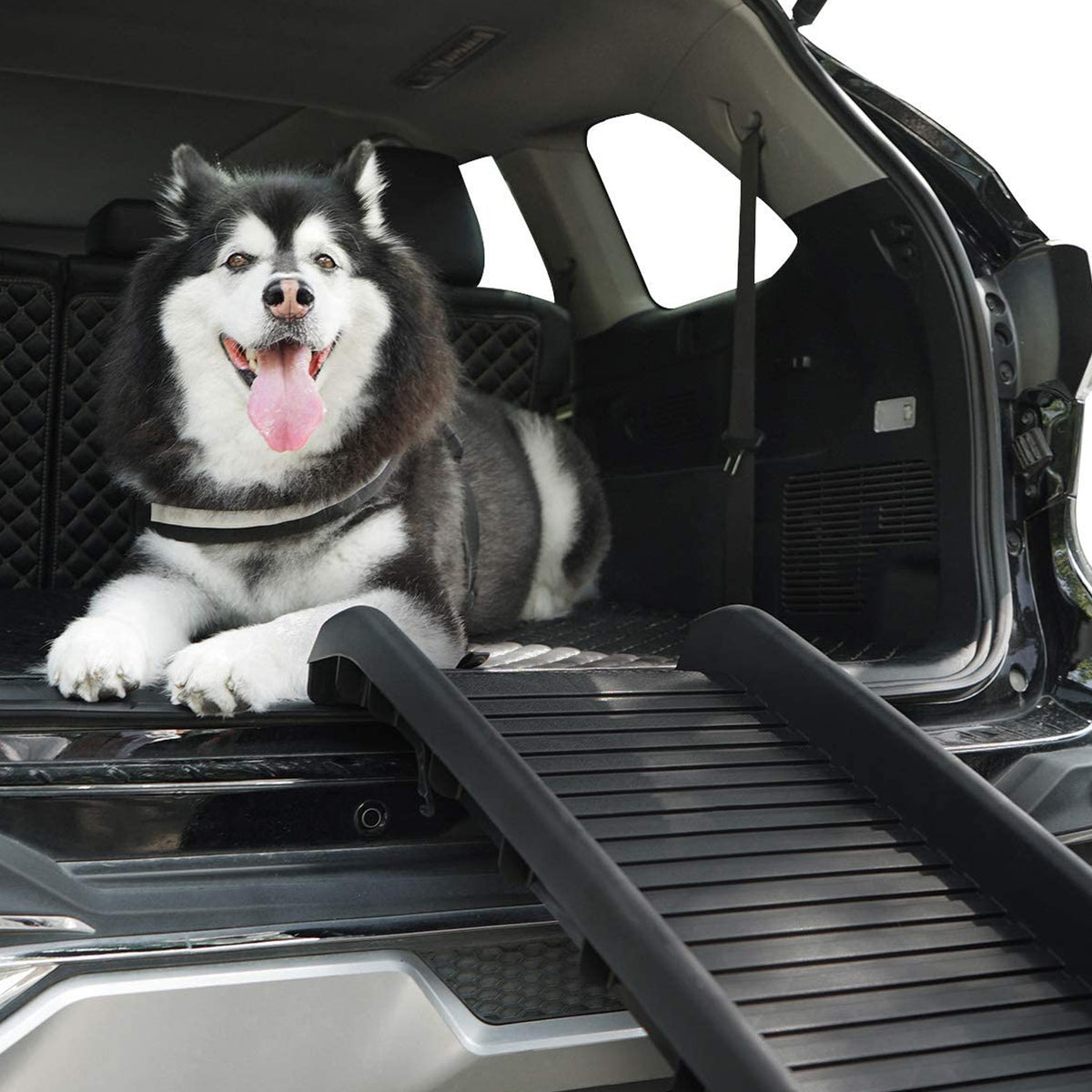 Coziwow Portable Non Slip Folding Dog Ramp, 61 Inch, 160 to 200 Pounds, Black (Refurbished)