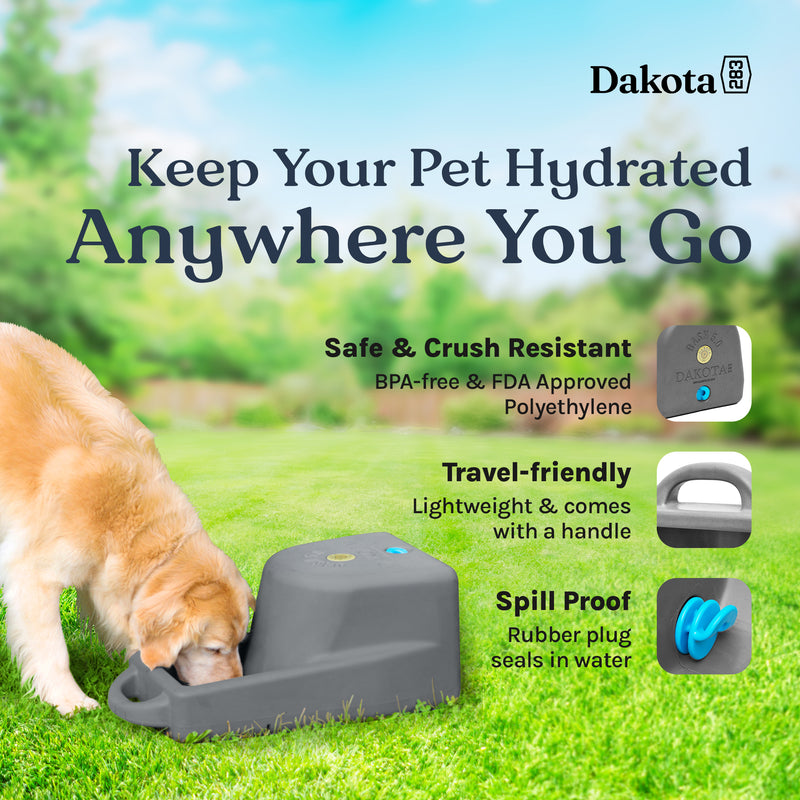 Dakota 283 Dash 5 Gallon Water Dispenser System for Dogs & Pets, Dark Granite