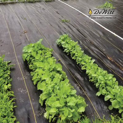DeWitt Sunbelt 6' Wide Weed Barrier Landscape Fabric Ground Cover, 300' (3 Pack)