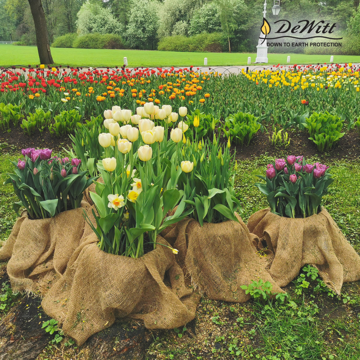 DeWitt 4 x 250 Foot 5.5 Ounce Gardening Landscape Burlap Fabric Roll (Used)