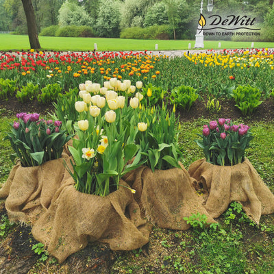 DeWitt 4 x 250 Foot 5.5 Ounce Gardening Landscape Burlap Fabric Roll (Used)