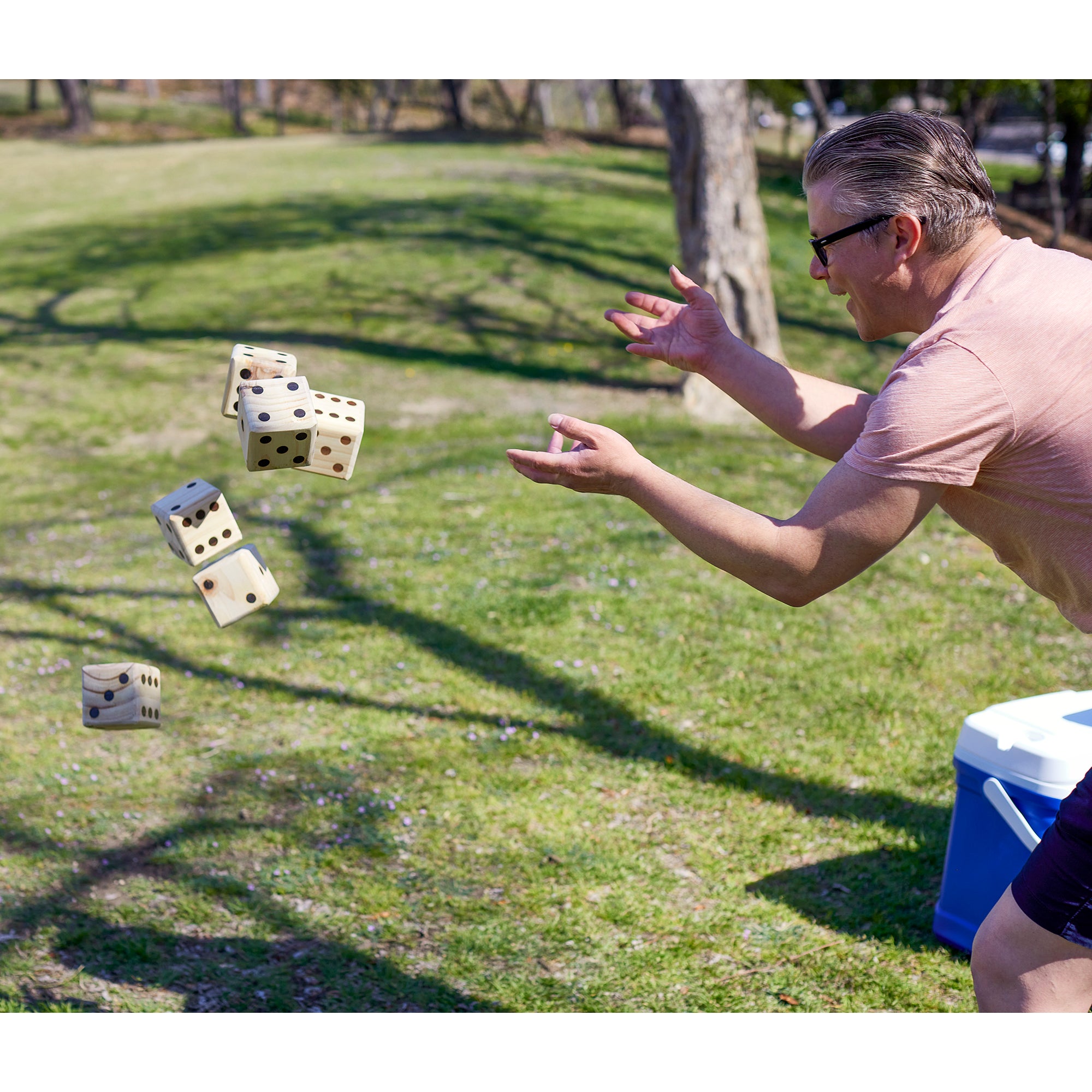 YardGames Giant Outdoor 3.5 Inch Wooden Dice Set with Scorecards & Case - VMInnovations