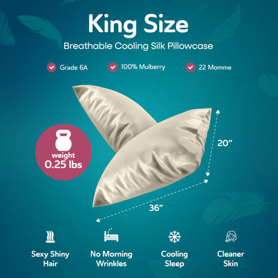 Sleepgram King Size Breathable Cooling Grade Silk Pillowcase, White (Used)