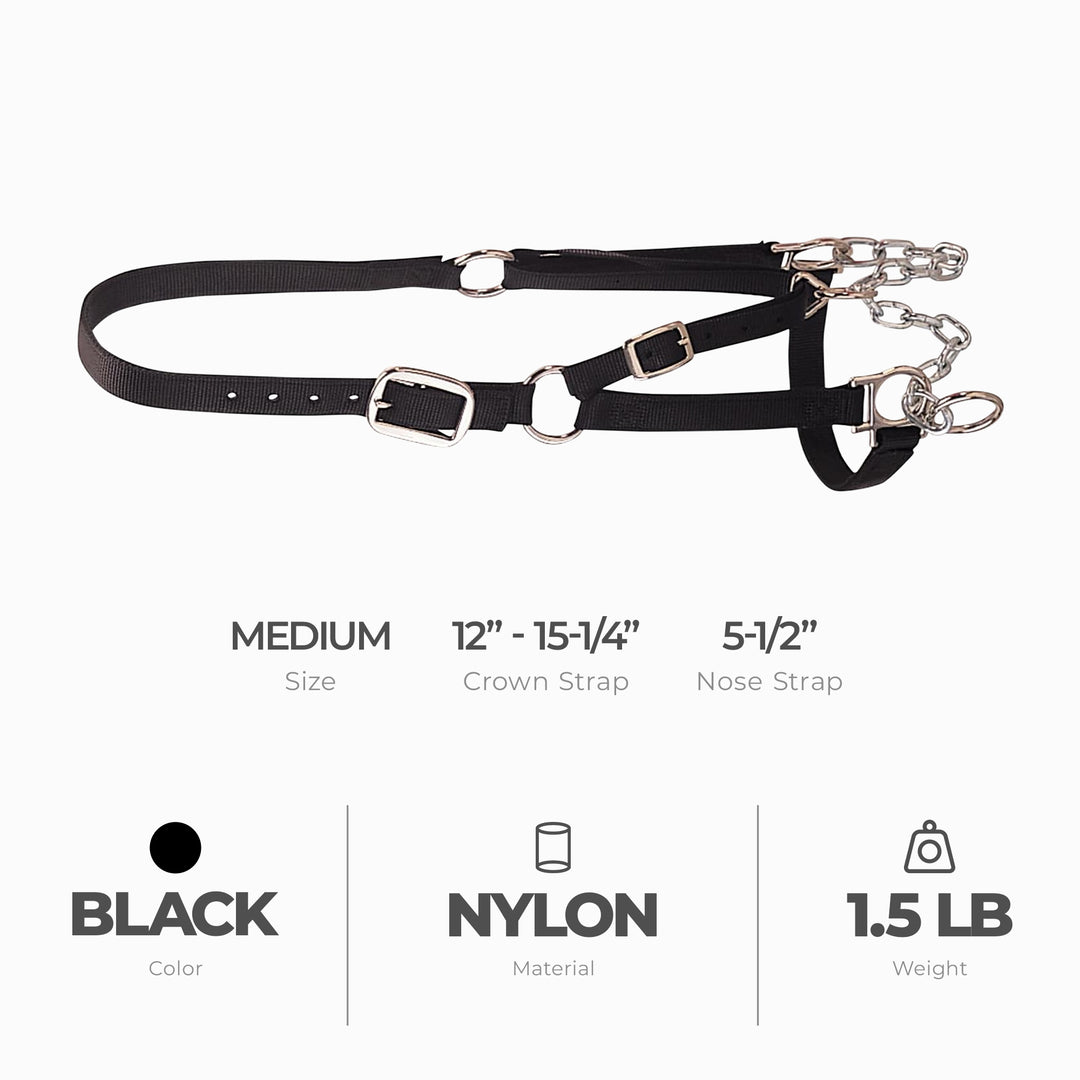 Weaver Leather Medium Cattle Halter with Double Stitched Nylon and Chin Choker