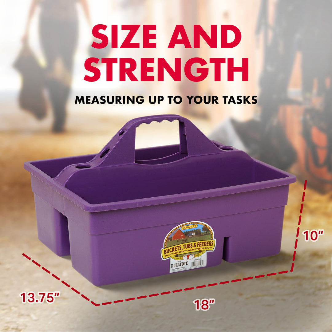 Little Giant Plastic Box Organizer w/2 Compartments & Handle, Purple (Open Box) - VMInnovations