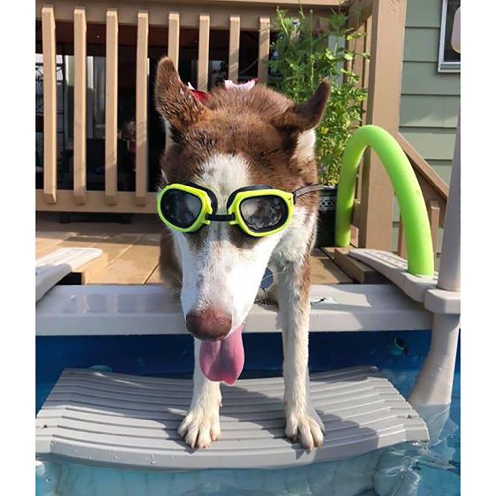 Confer Plastics Curved Pool Step & Hydrotools by Swimline 36"x36" Ladder Mat - VMInnovations