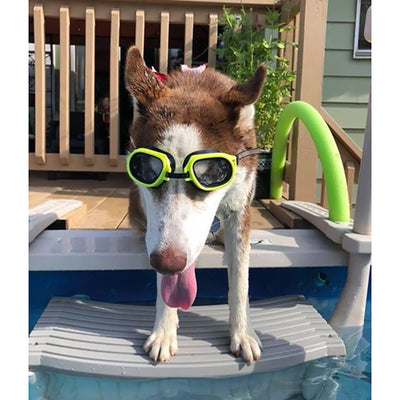 Confer Plastics Curved Pool Step & Hydrotools by Swimline 36"x36" Ladder Mat - VMInnovations